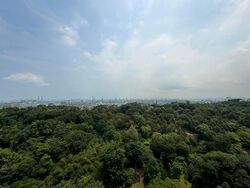 Normanton Park (D5), Apartment #594213461